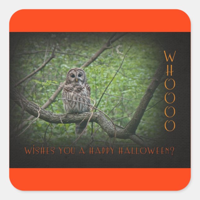 Halloween Wishies -  Barred Owl Square Sticker (Front)