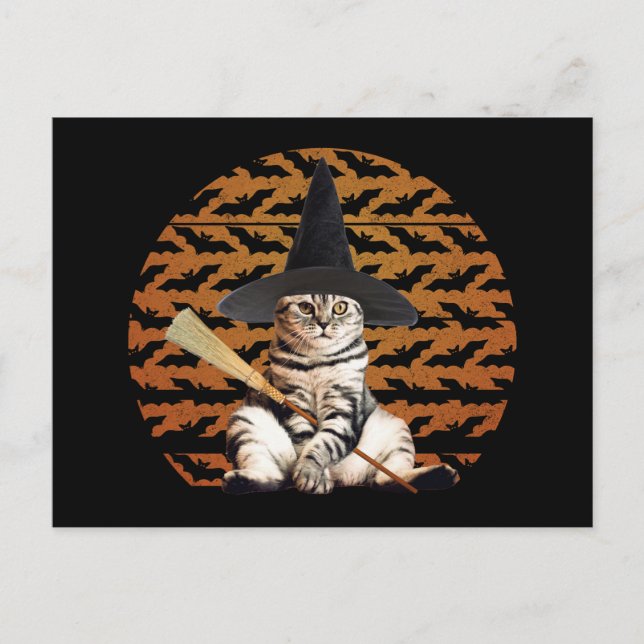 Halloween Witch Cat Postcard (Front)