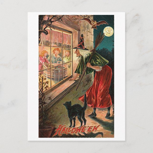 Halloween Witch, Cat Staring in Window Postcard (Front)