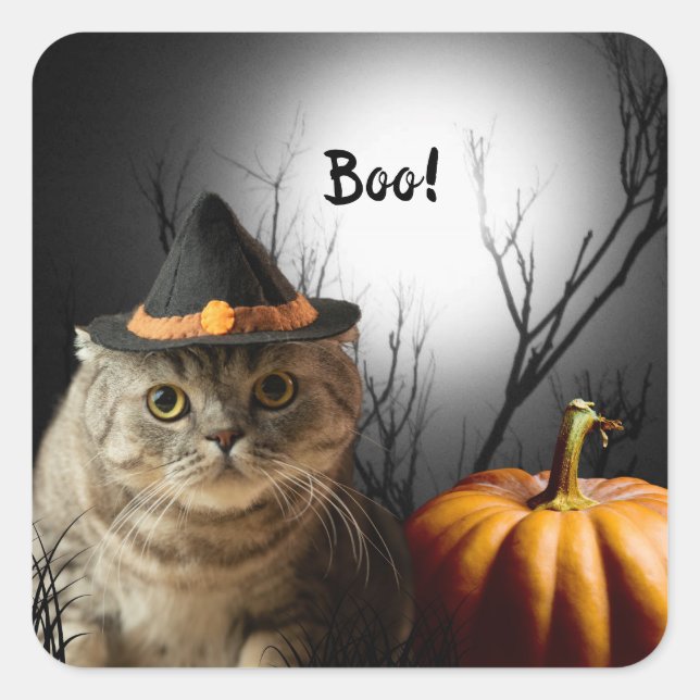 Halloween Witch Cat With Pumpkin Stickers (Front)