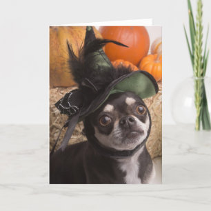 Halloween Witch Dog Card