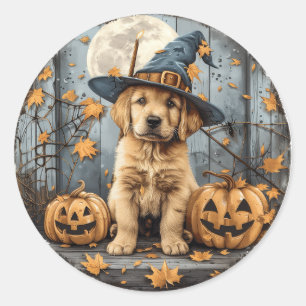 Halloween Witch Golden Retriever Puppy Pumpkins Classic Round Sticker