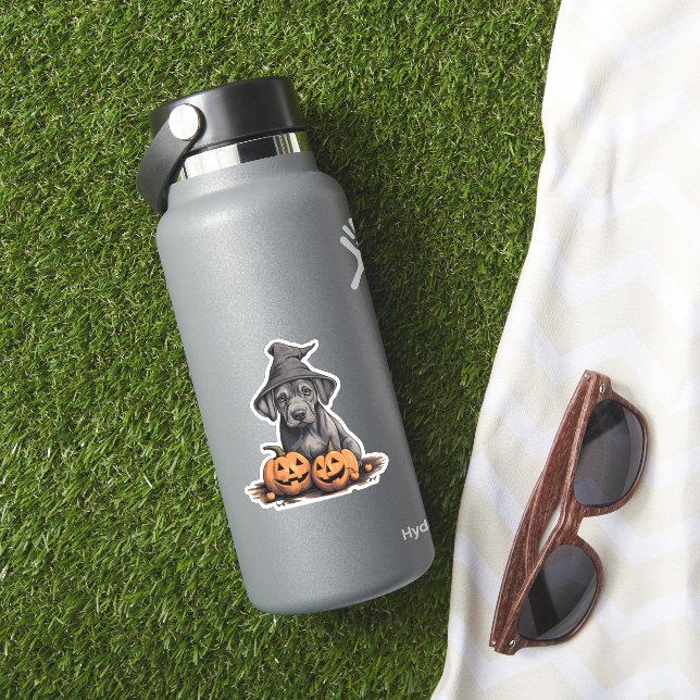 Halloween Witch Hat Pumpkin Dog Great Dane (HydroFlask Insitu)