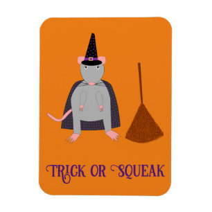 Halloween Witch Rat and Broom Custom Magnet