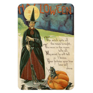 Halloween Witch Vintage Magnet