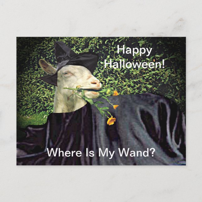 Halloween Wizard Goat Postcard (Front)