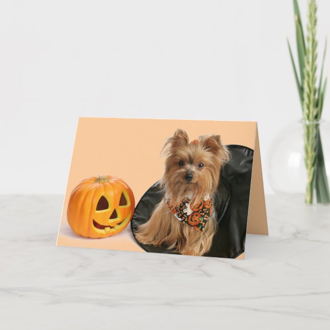 Halloween Yorkie Card (Front)