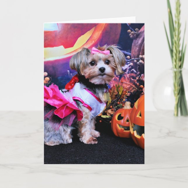Halloween - Yorkie - Zoey Card (Front)