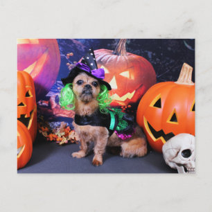Halloween - YorkiePekeX -Clara Postcard