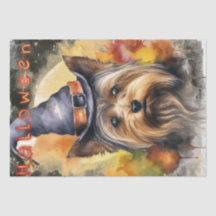 Halloween Yorkshire Terrier Dog