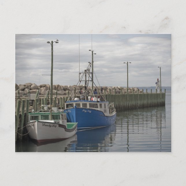 Hall's Harbour Postcard (Front)