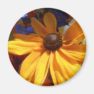 Halse Magnet