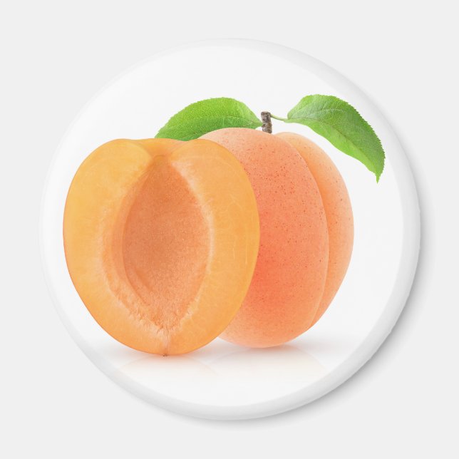 Halved apricots magnet (Front)