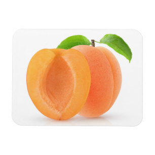 Halved apricots magnet