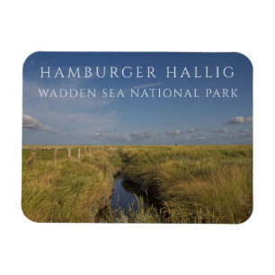 Hamburger Hallig, Wadden Sea, Germany Magnet
