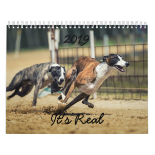 HAMbWG 2019 Wit Calender Calendar