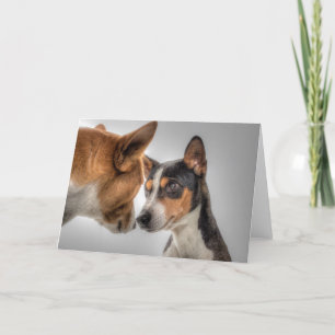 HAMbWG - Greeting Card - 2 Dogs