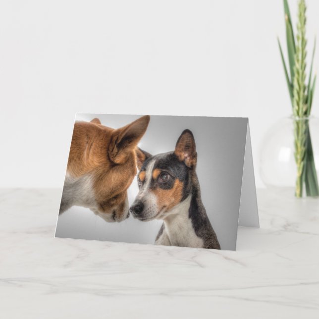 HAMbWG - Greeting Card - 2 Dogs (Front)