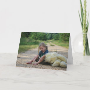 HAMbWG Greeting Card - Never give up