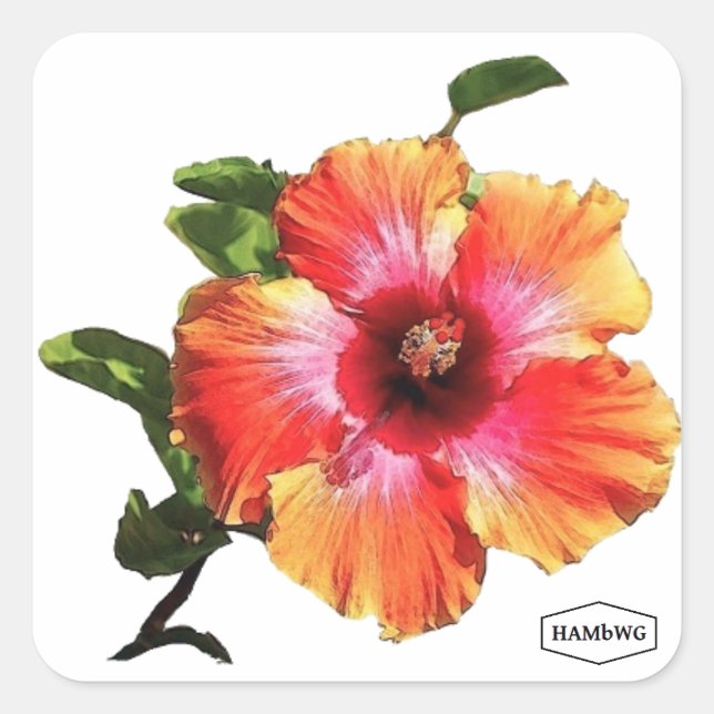 HAMbWG Hibiscus Flower Square Sticker (Front)