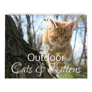 HAMbWG Outdoor Cats & Kittens Calendar