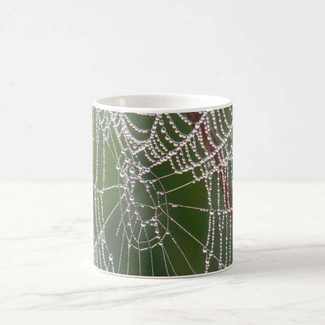 HAMbWG - Spider Web - Coffee Mug (Center)