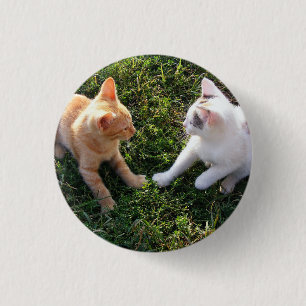 HAMbWG - Square Button - 2 cats