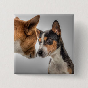 HAMbWG - Square Button - 2 Dog Face-off