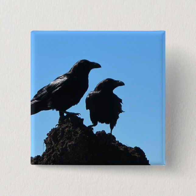 HAMbWG - Square Button - Ravens (Front)