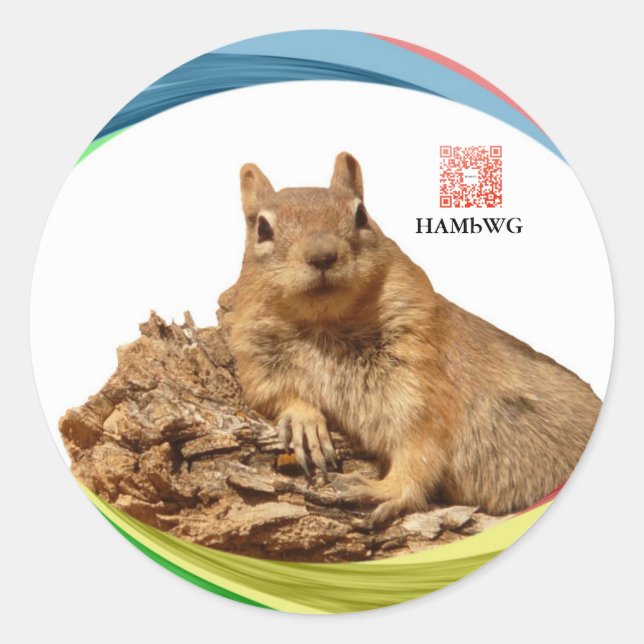 HAMbWG -Sticker - Squirrel w Logo Colours Classic Round Sticker (Front)