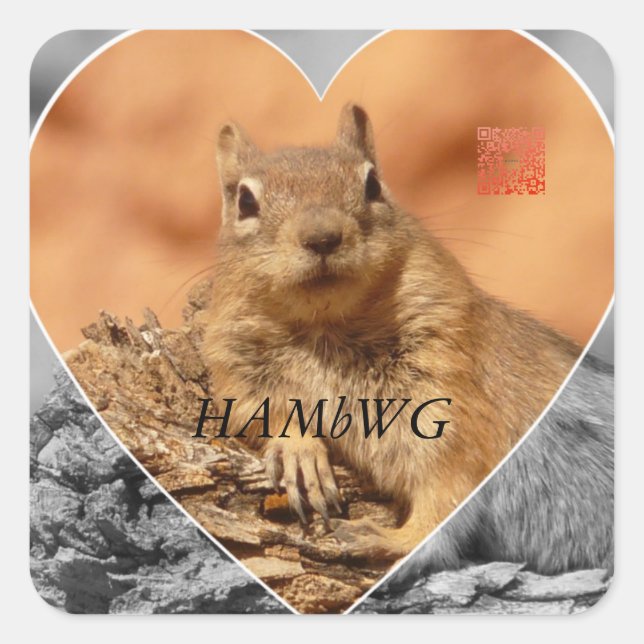 HAMbWG - Stickers - Squirrel G/B Heart Logo (Front)