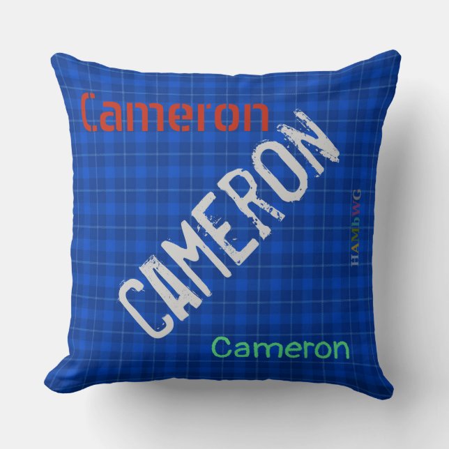 HAMbWG Vanity Pillow - Add name - Blue Plaid (Front)
