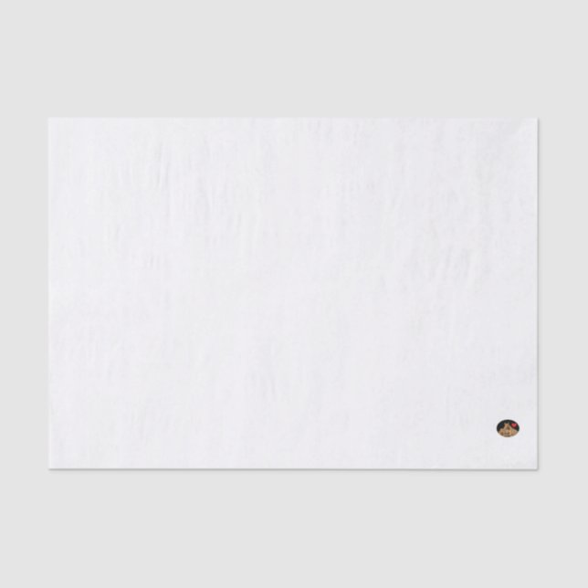 HAMbyWG - 10lb Tissue Paper, Light Blue Tissue Paper (Front)