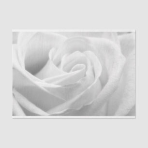 HAMbyWG - Black & White, White Rose Tissue Paper