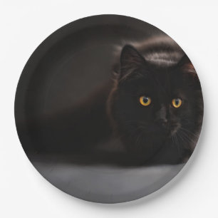 HAMbyWG - Custom Paper Plates 9" -Black Cat