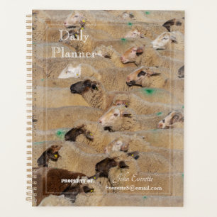 HAMbyWG - Daily Planner - Crowded Sheep