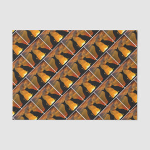 HAMbyWG - Dog Shadows Tissue Paper