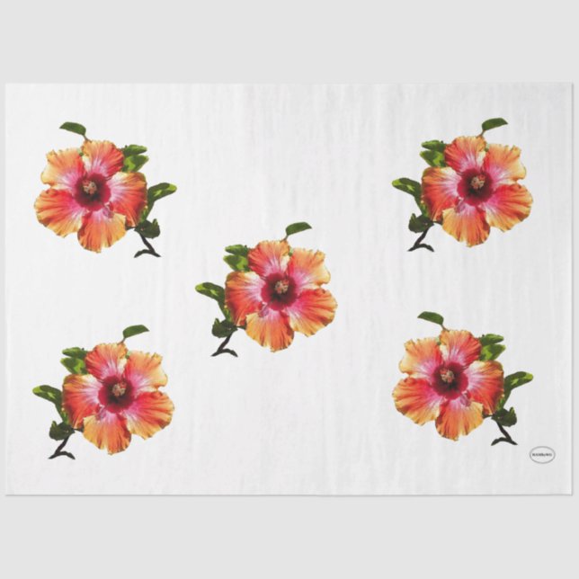 HAMbyWG Hibiscus Flower - Tissue Paper (Front)