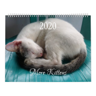 HAMbyWG - More Kittens Calendar