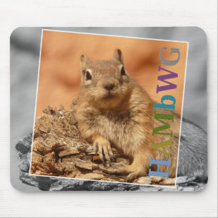 HAMbyWG -  Mouse Pad - Famous Squirrel