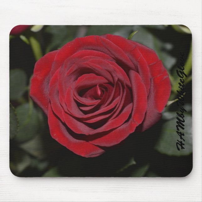 HAMbyWG Mouse Pads - Rose Bush (Front)
