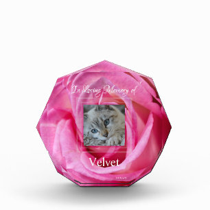 HAMbyWG  Pink Rose  Acrylic Photo Block