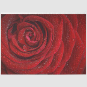 HAMbyWG Red Rose Tissue Paper