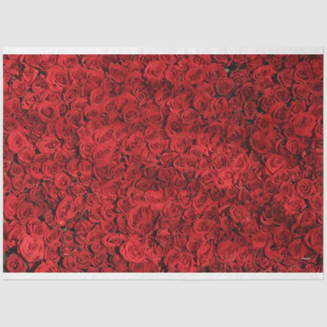 HAMbyWG Red Roses Tissue Paper (Front)