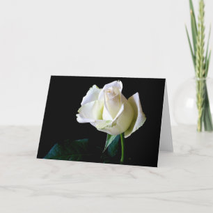HAMbyWhiteGlove - Greeting Card - Single Rose