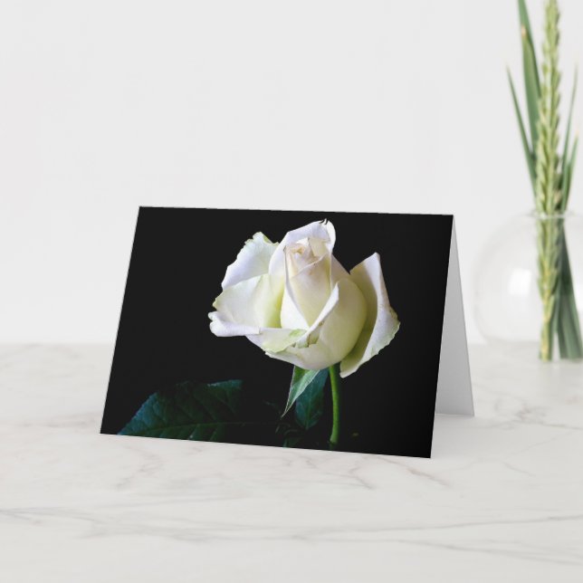 HAMbyWhiteGlove - Greeting Card - Single Rose (Front)