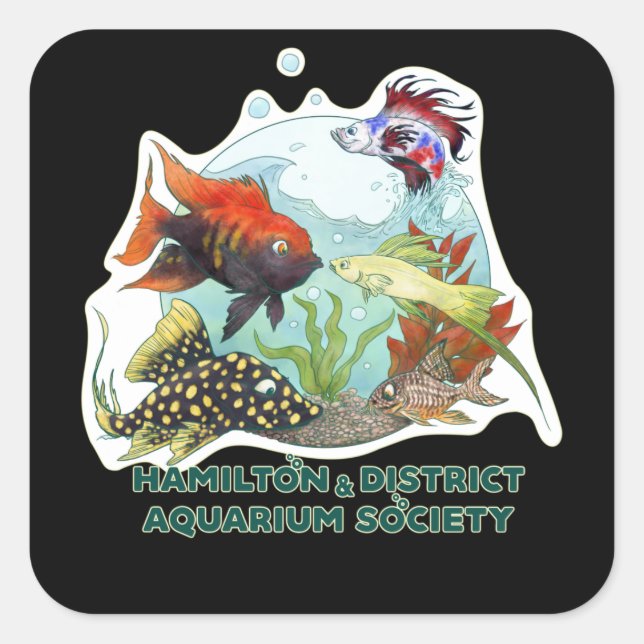 Hamilton & District Aquarium Society Square Sticker (Front)