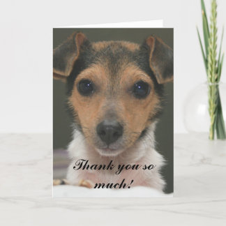 Hamlin - Thank you so much!