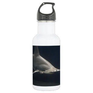 Hammerhead Shark 532 Ml Water Bottle