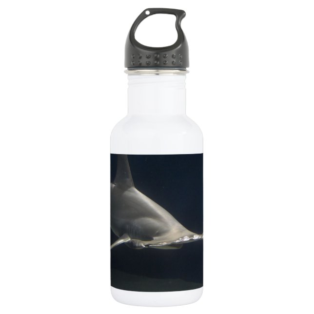 Hammerhead Shark 532 Ml Water Bottle (Front)